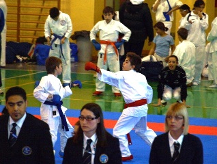 Image description
